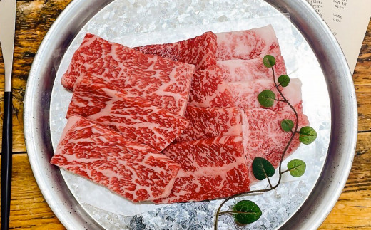 ãMEAT29ãæ·¡è·¯ããŒã&ç¥æžããŒãèªå®ã®çŒèé£ã¹æ¯ã¹