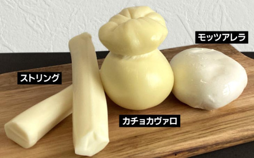 豺。霍ッ蟲カ蝨ー繝√シ繧コシ鍋ィョ縺ィ迚帑ケウシ皮ィョシ茨シ礼せ繧サ繝繝茨シ