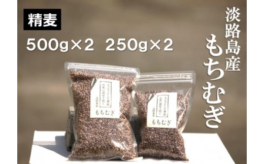 淡路島 南あわじ産　もちむぎ（ダイシモチ）　1.5kg