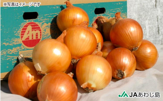 ãããå³¶ã®ã»ããŸããããŸããã5?ãäžæ©ççš®