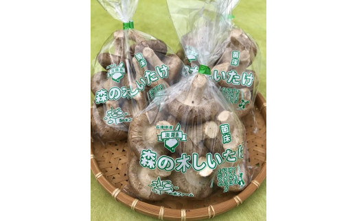 豺。霍ッ蟲カ逕」縺ョ闖悟コ顔函讀手減シ医@縺縺溘¢シ