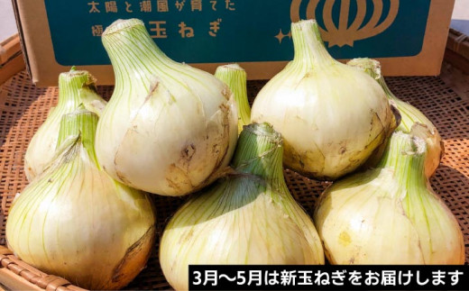 豺。霍ッ蟲カ逕」邇峨ュ縺 螳壽悄萓ソ縲3?テ10蝗橸シ育匱騾3譛医12譛茨シ