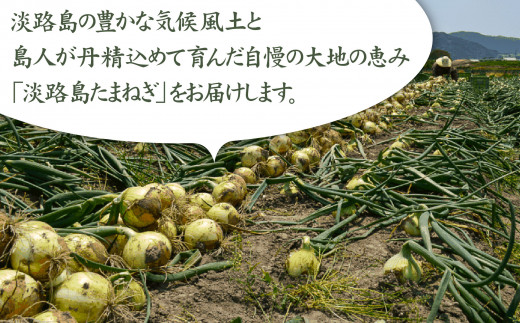 縲先キ。霍ッ蟲カ縺ョ髱呈棡螻九代仙ョ檎溽脂縺ュ縺惹コ育エシ√第キ。霍ッ蟲カ逕」縺溘∪縺ュ縺弱10kg 逕倥&縺ォ閾ェ菫。!!縺サ繧薙∪繧ゅs!!縲笳R8.5譛域忰縲懃匱騾