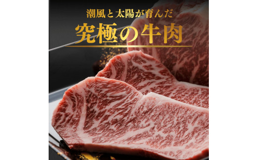 淡路牛ロースステーキ　約200ｇ×3枚