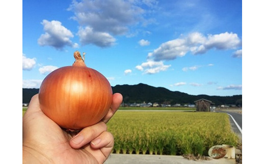 豺。霍ッ蟲カ逕」邇芽続 縺縺壹@縺願ソス辭溽曝邇峨ュ縺弱3kg