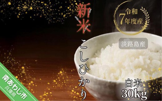 令和7年産米　淡路島産こしひかり　白米30㎏