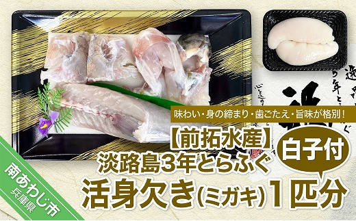【冷蔵配送】前拓水産の淡路島3年とらふぐ（活身欠き【ミガキ】１匹分）白子付◆配送期間12月1日～2月28日
