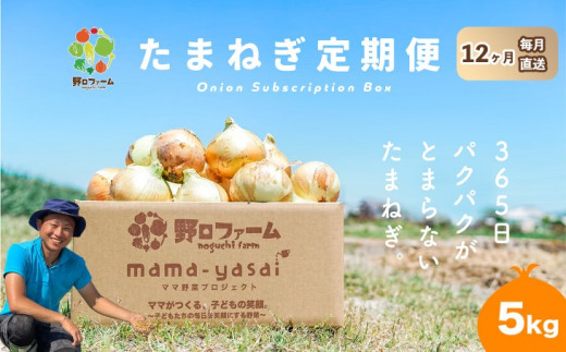 【12回定期便】mama-yasai たまねぎ５kg