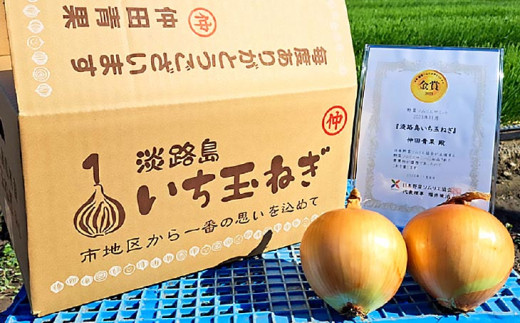 【野菜ソムリエサミット金賞】淡路島玉ねぎ5kg【仲田青果の淡路島いち玉ねぎ】　
