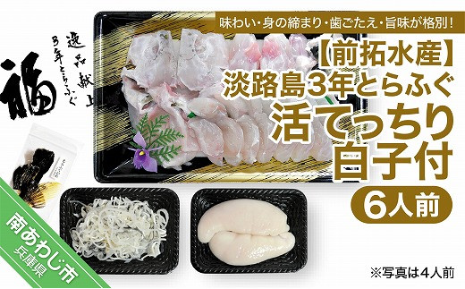 【冷蔵配送】前拓水産の淡路島3年とらふぐ（活てっちり／白子付）6人前◆配送期間12月1日～2月28日