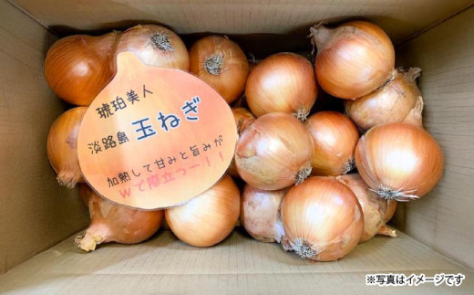 淡路島極ççè±ãã·ã£ãŒããããªããªã³ã20kgããçããå€§åœæ·¡è·¯å³¶ããã®çãã