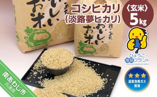 コシヒカリ（玄米）５キロ