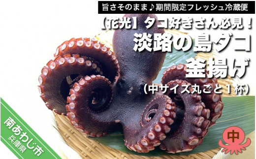 【旨さそのまま♪期間限定フレッシュ冷蔵便】タコ好きさん必見！淡路の島ダコ釜揚げ（中サイズ丸ごと1杯）