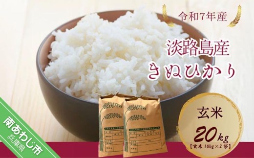 令和7年産米　淡路島産キヌヒカリ　玄米20㎏