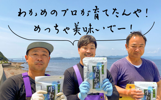ãæŒåž«çŽéãæ¹¯éãå¡©èµããã300ïœÃ7è¢ãæ·¡è·¯å³¶é³Žéæµ·å³¡åç£ã