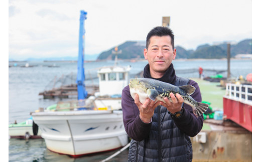 冷凍【淡路島3年とらふぐ】希少価値！白子 150g