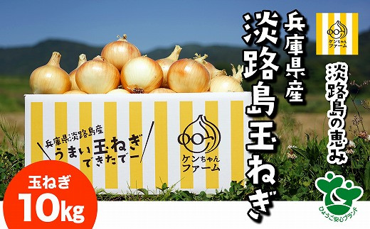 ＼うまい玉ねぎできたでー／特別栽培玉ねぎ10? 〜ひょうご安心ブランド認証取得〜　◆配送７月〜翌年１月