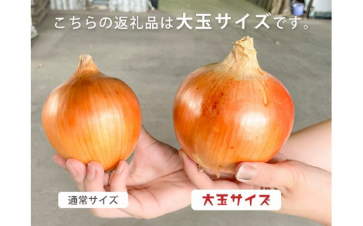 縲舌≠縺輔イ繧オ繝ウ繝輔ぃ繝シ繝縲代仙、ァ邇 5緕上代イ繧縺縺泌ョ牙ソ繝悶Λ繝ウ繝俄迚ケ蛻・譬ス蝓ケ笘豺。霍ッ蟲カ縺溘∪縺ュ縺