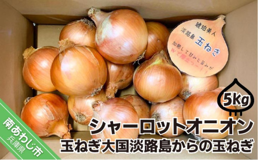 淡路島極熟玉葱　シャーロットオニオン【5kg】　玉ねぎ大国淡路島からの玉ねぎ
