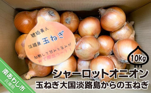 淡路島極熟玉葱　シャーロットオニオン【10kg】　玉ねぎ大国淡路島からの玉ねぎ
