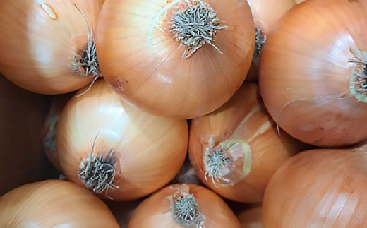 【野菜ソムリエサミット金賞】淡路島玉ねぎ5kg【仲田青果の淡路島いち玉ねぎ】　