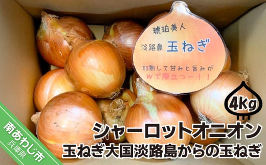 淡路島極熟玉葱　シャーロットオニオン【4kg】　玉ねぎ大国淡路島からの玉ねぎ