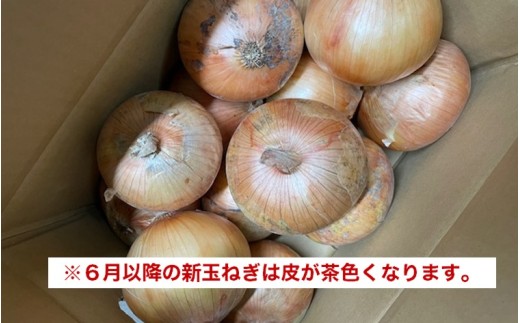 新玉ねぎ シャーロットオニオン 3kg  ◆配送７月上旬〜９月末