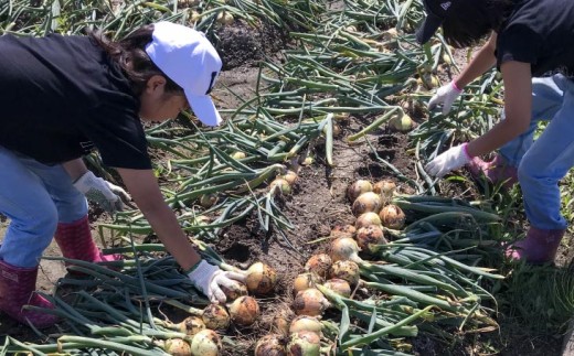 笘豺。霍ッ蟲カ邇峨ュ縺寂 蟄蝉セ幃#繧ょ、ァ螂ス縺!! 縺ゅ∪縲懊>邇峨■繧繧10kg笘縺イ繧縺縺泌ョ牙ソ繝悶Λ繝ウ繝牙叙蠕冷