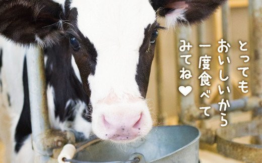 繝ィ繝シ繧ー繝ォ繝医∫┥繝励Μ繝ウ縺ョ隧ー蜷医○D繧サ繝繝