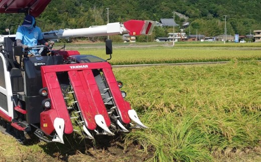 螳晉匠邀ウ繧ウ繧キ繝偵き繝ェ縲邊セ邀ウ5繧ュ繝ュ