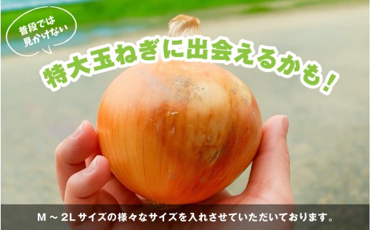 豬キ譛磯、ィ 閾ェ遉セ霎イ蝣エ譬ス蝓ケシ∵キ。霍ッ蟲カ逕」 邇峨ュ縺 10kg