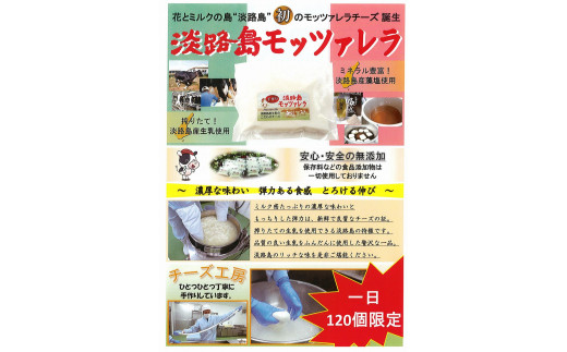 淡路島ã¢ããã¡ã¬ã©ãšã«ãã§ã«ãŽã¡ããåïŒåã»ãã