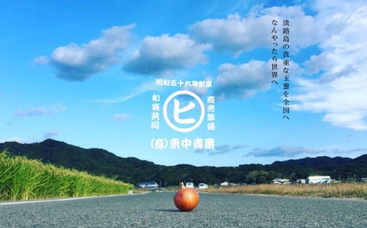 淡路島ç£çè± ãããã远çççããã5kg