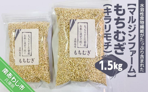 淡路島 南あわじ産　もちむぎ（キラリモチ）1.5kg