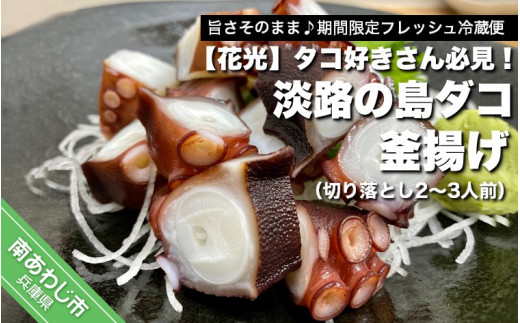 【旨さそのまま♪期間限定フレッシュ冷蔵便】タコ好きさん必見！淡路の島ダコ釜揚げ（切り落とし2〜3人前）