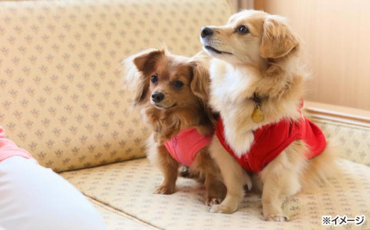 愛犬と過ごす ドギーヴィラ デラックスルーム（オーベルジュステイ） 1泊2名様夕朝食付