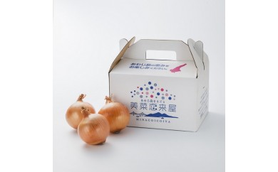 【美菜恋来屋】淡路島たまねぎ　10kg箱