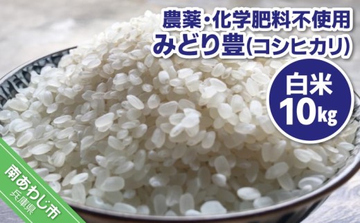 【令和７年産】農薬・化学肥料不使用 白米10kｇ みどり豊(コシヒカリ)