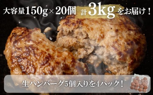 淡路島çããå
¥ããããã³ããŒã° ïŒkgïŒ150ïœÃ20åïŒ å·å