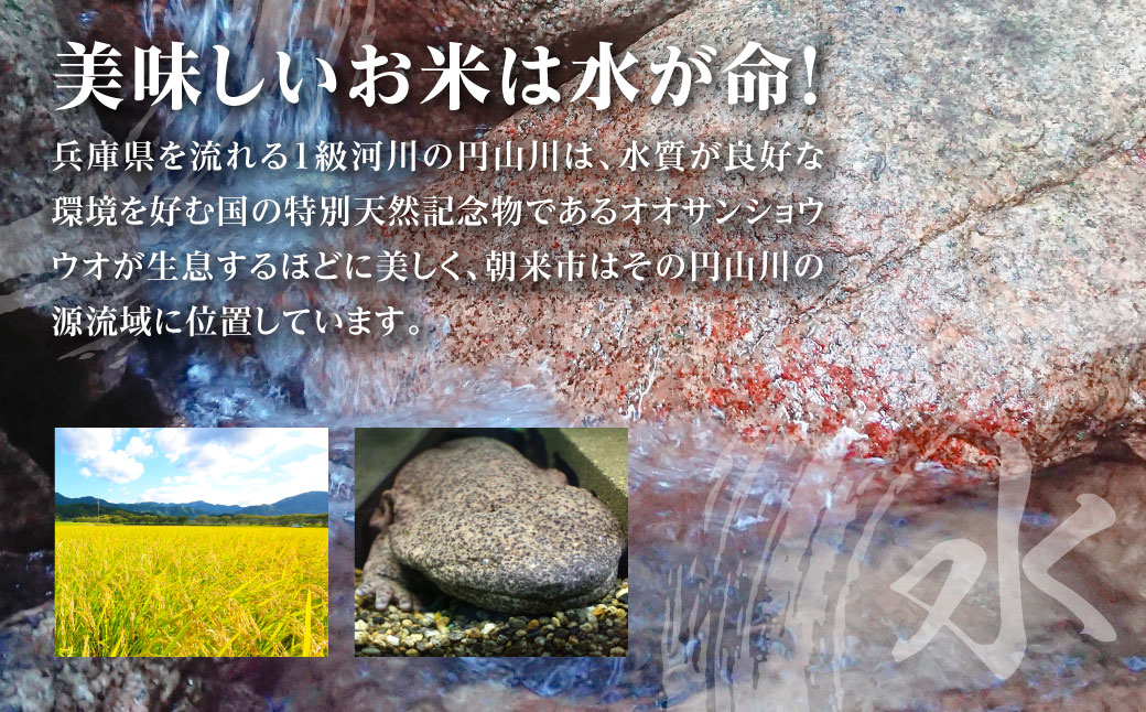 莉、蜥8蟷エ逕」 蜈オ蠎ォ縺ョ1邏壽イウ蟾 蜀螻ア蟾晄コ先オ∝沺縺ァ閧イ縺セ繧後◆譛晄擂蟶ら肇繧ウ繧キ繝偵き繝ェシ育區邀ウシ10kg(5kgテ2陲) 縲蝉サ、蜥8蟷エ逕」 繧ウ繧キ繝偵き繝ェ 10kg 縺顔アウ 邀ウ 繧ウ繝。 縺薙a 螳牙ソ 螳牙ィ 濶ッ雉ェ 鄒主袖縺励> 逕倥∩ 譌ィ蜻ウ 蜈オ蠎ォ逵 譛晄擂蟶 遶ケ逕ー蝓手キ。 蜀螻ア蟾晄コ先オ∝沺 蟾昴ョ譛荳頑オ∝沺縺ェ縺ョ縺ァ豌エ縺ョ縺阪l縺縺輔ヴ繧ォ繧、繝!! 縲