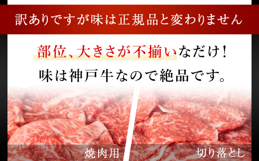  神戸牛 訳あり 切り落とし肉 ・焼肉用 800g (各400g) AS8C19-ASGSY2S | 神戸ビーフ 神戸肉 黒毛和牛 国産和牛 ブランド和牛 牛肉 牛 肉 お肉 兵庫県 朝来市