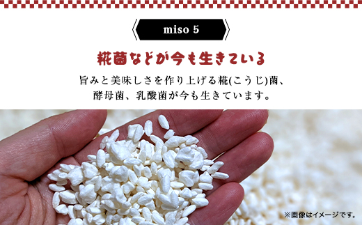 おばあちゃんの手づくり丹波黒大豆入り味噌 (3kg) 【箱入り】 AS35B23-box