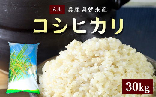 ＜令和6年 新米 先行予約 / 9月中旬発送開始予定＞朝来産コシヒカリ米 (30kg)《玄米》米 コメ こめ お米 おこめ ご飯 ごはん 玄米 げんまい コシヒカリ こしひかり 30キロ 国産 国産米 兵庫県 朝来市 AS4DE1