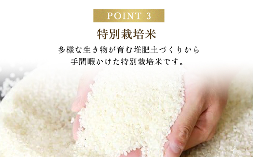 【令和6年新米先行予約/9月発送開始】高本さんちのコシヒカリ【玄米/白米】5kg AS2BB24