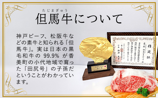 もつ鍋にも!【但馬牛】特選ミックスホルモン1kg(500g×2P)【配送不可地域：離島】神戸牛 神戸ビーフ 牛肉 黒毛和牛 国産牛 ブランド和牛 ホルモン ミックスホルモン 1キロ 兵庫県 朝来市 AS1DA1