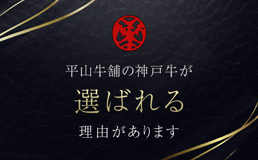 神戸牛 すき焼き 赤身 & 霜降り 特選セット 500g AS17C14