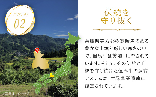 【但馬牛】特上切り落し（焼肉・うす切り）計600gセット 神戸牛 神戸ビーフ 黒毛和牛 国産牛 ブランド和牛 切り落とし肉 切り落とし 焼肉 焼き肉 薄切り うす切り肉 牛切り落とし 兵庫県 朝来市 AS1CA21