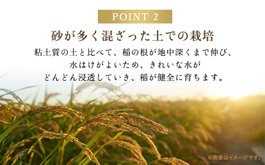 令和6年先行予約 減農薬 三波農地を守る会のコシヒカリ（15kg） 【玄米】 AS2D10-genmai