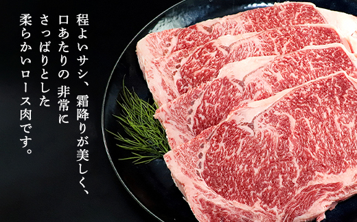 çµç£äœéЬçããŒã¹ã¹ããŒã ïŒæïŒèš800ïœïŒ AS2F4