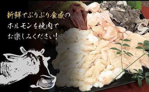 もつ鍋にも!【但馬牛】特選ミックスホルモン1kg(500g×2P)【配送不可地域：離島】神戸牛 神戸ビーフ 牛肉 黒毛和牛 国産牛 ブランド和牛 ホルモン ミックスホルモン 1キロ 兵庫県 朝来市 AS1DA1